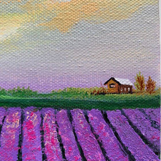 Lavender fields ! Small Painting!!  Ready to hang