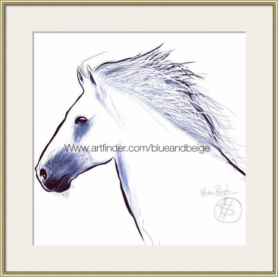 White horse