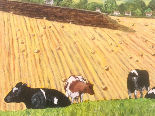 Somerset Cows by Margaret Riordan