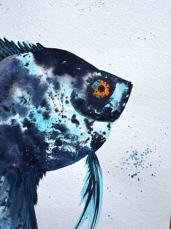 Exotic Blue Azure fish