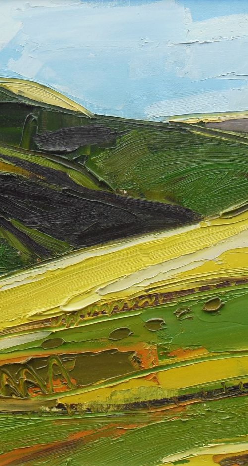 Wild Fells by Ben McLeod