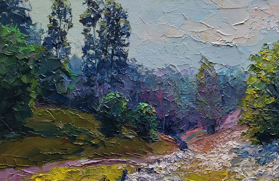 Wildflowers are growing