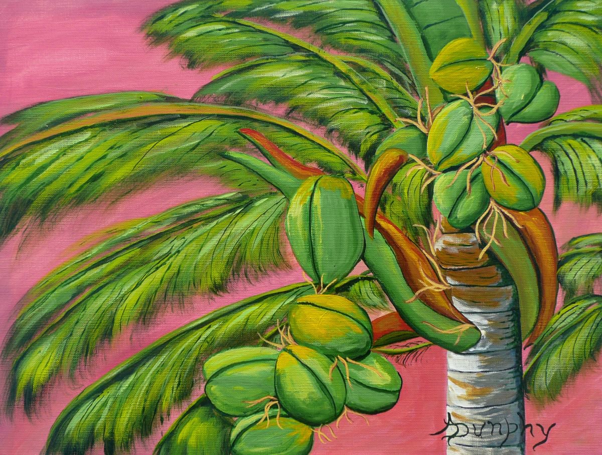 Coconut Palm by Dunphy Fine Art