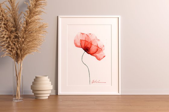 A red Poppy