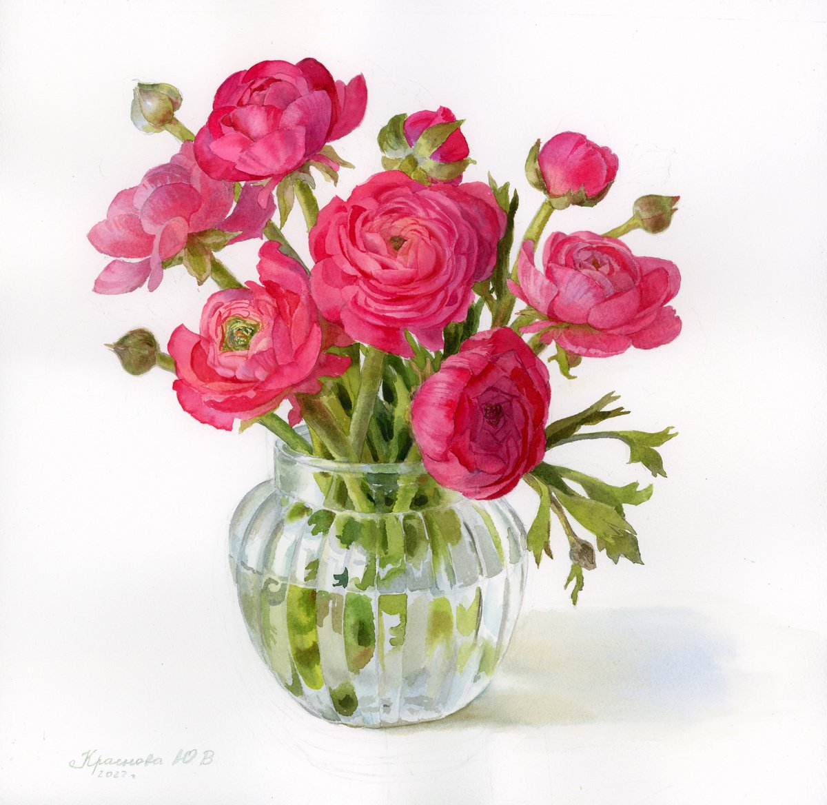 Photorealistic Still Life Watercolour By Yulia Krasnov, 15 X 15", Pink Ranunculus, Original Artwork