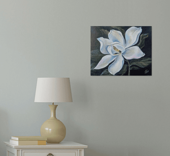 Magnolia flower