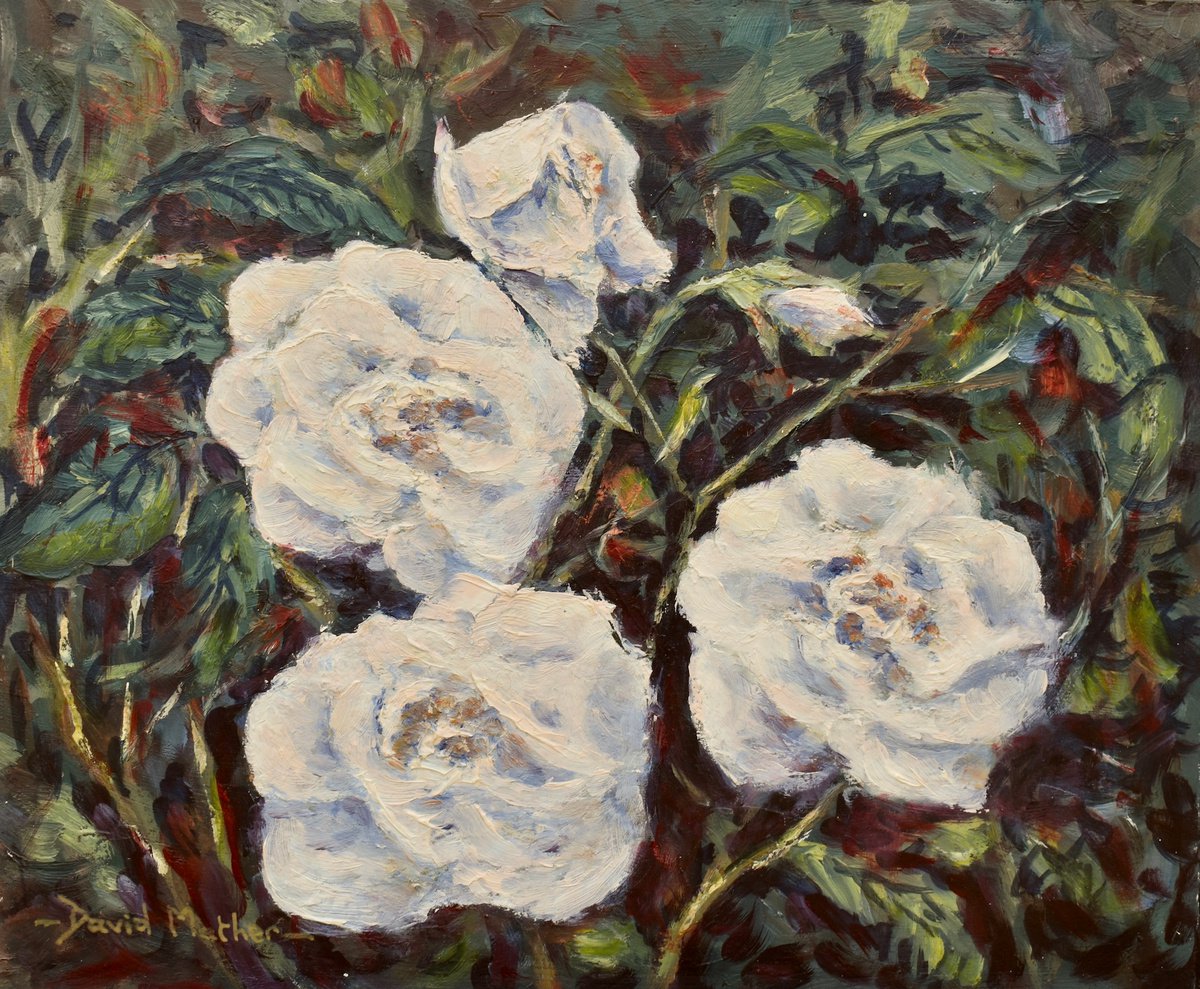 White roses by David Mather