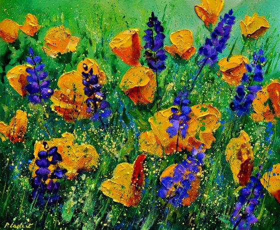 Yellow and purple flowers   -6523