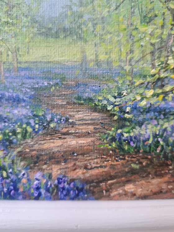 A Walk In The Bluebell Woods