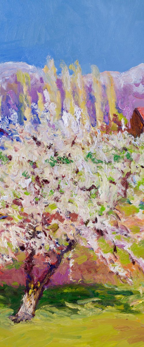 Aprico Tree in the Spring by Suren Nersisyan