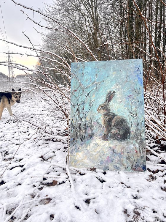 Hare in the snow