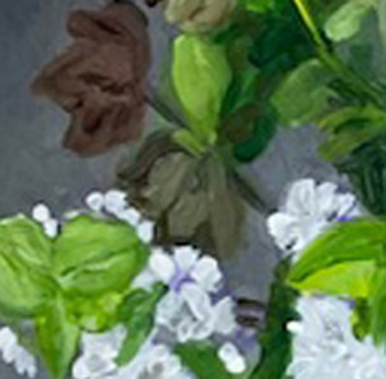 Hellebore Snowfall