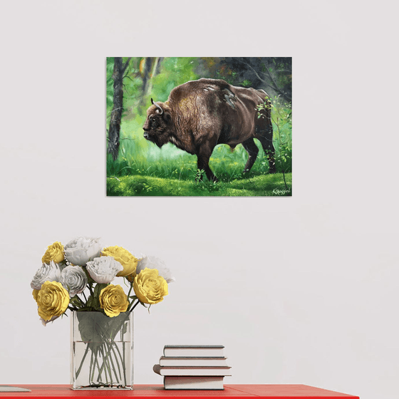 Bison