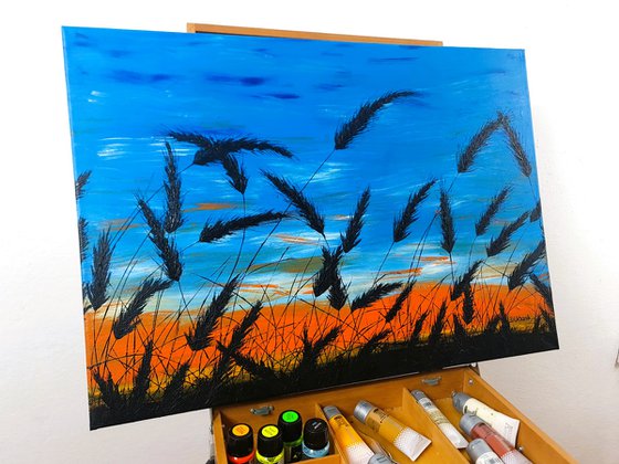 Sunset in the grass
