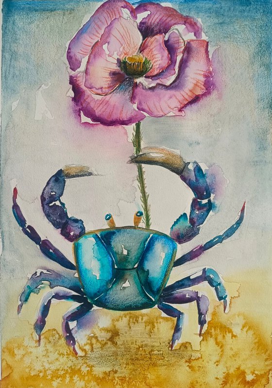 Crab Illustration (small)