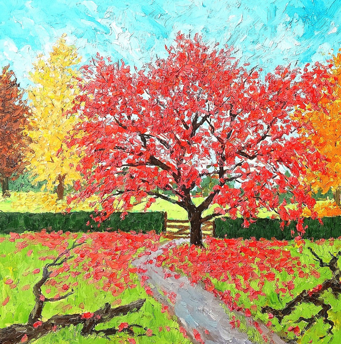 Botanical Oil Painting By Colin Ross Jack, 23 X 23, Autumn Tree #3, Original Artwork