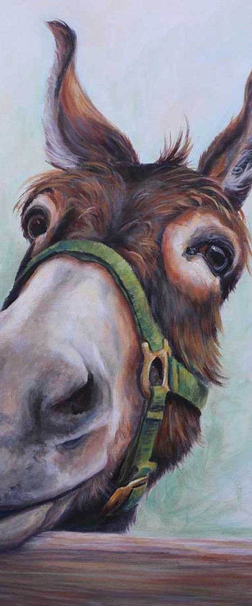 Over the Fence by Ruth  Aslett