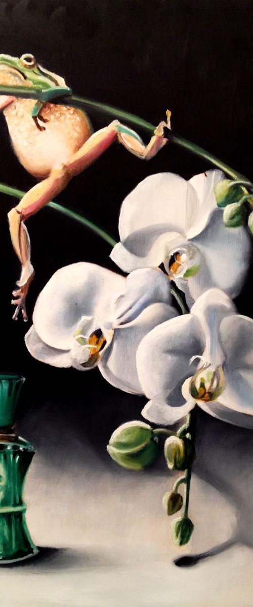 A very poisonous frog- original painting - still life oil on wood- 30 x 40 (12' x 16') by Valentina Toma' aka Zoe Chigi