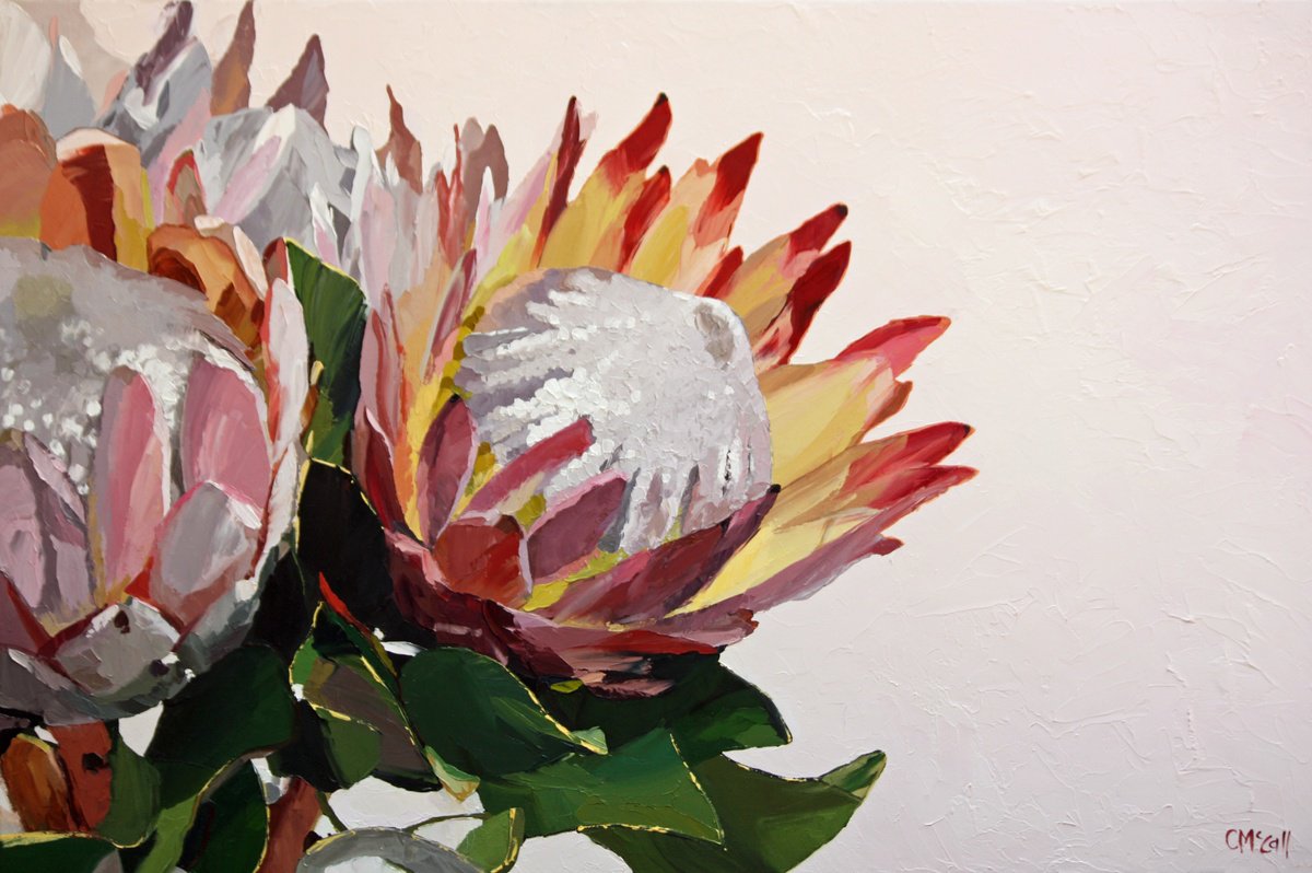 Protea #1 by Claire McCall