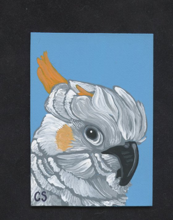 ACEO ATC Original Painting Citron Crested Cockatoo Parrot Bird Art-Carla Smale