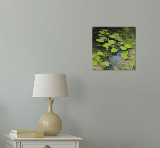 Water lilies by the shore