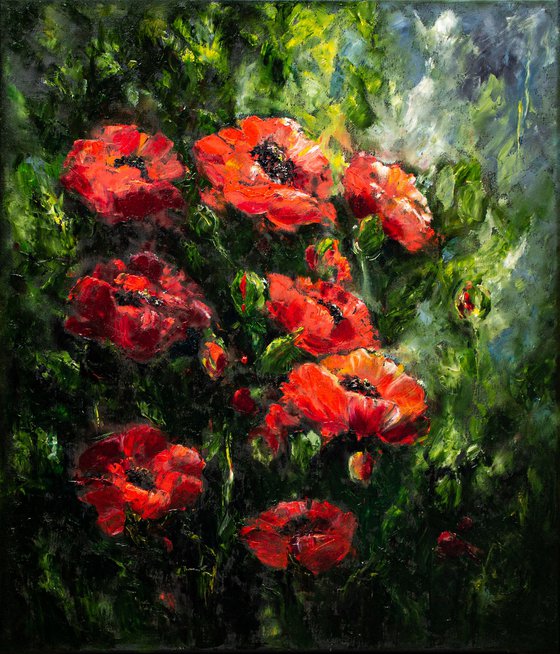 In love with poppies