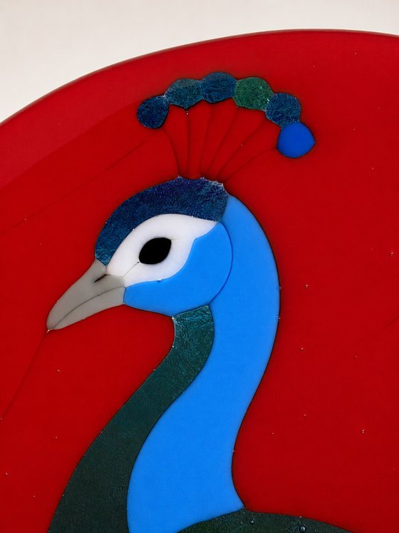 Peacock Fused Glass Bird Art