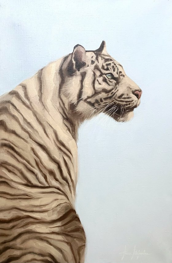 White tiger