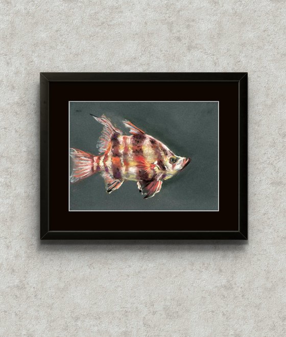 Fish