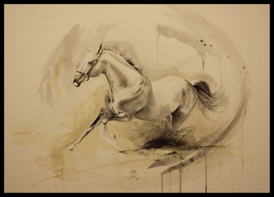 Movement of a Horse Study 1.2