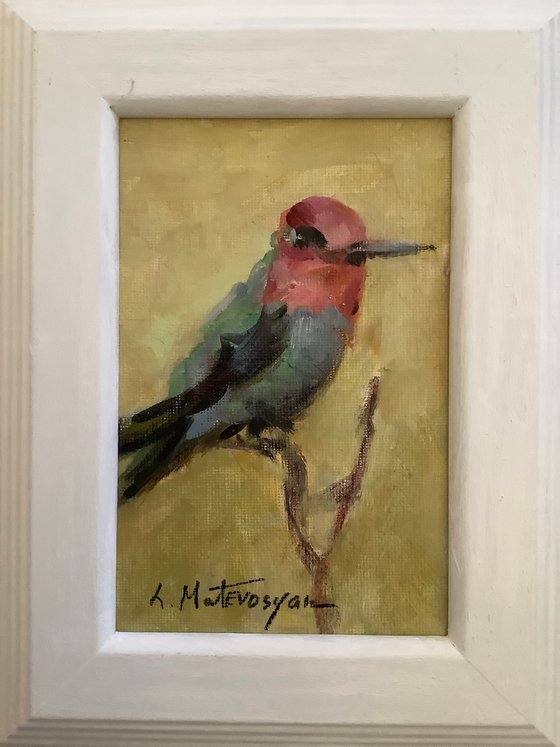 Hummingbird
