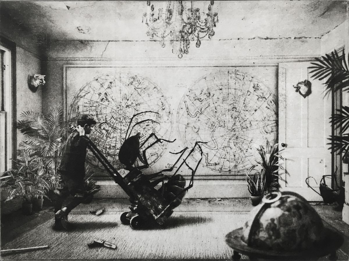 Surrealistic Animal Etchings & Engravings By Jaco Putker, 13 X 10, Interior No.74, Original Artwork