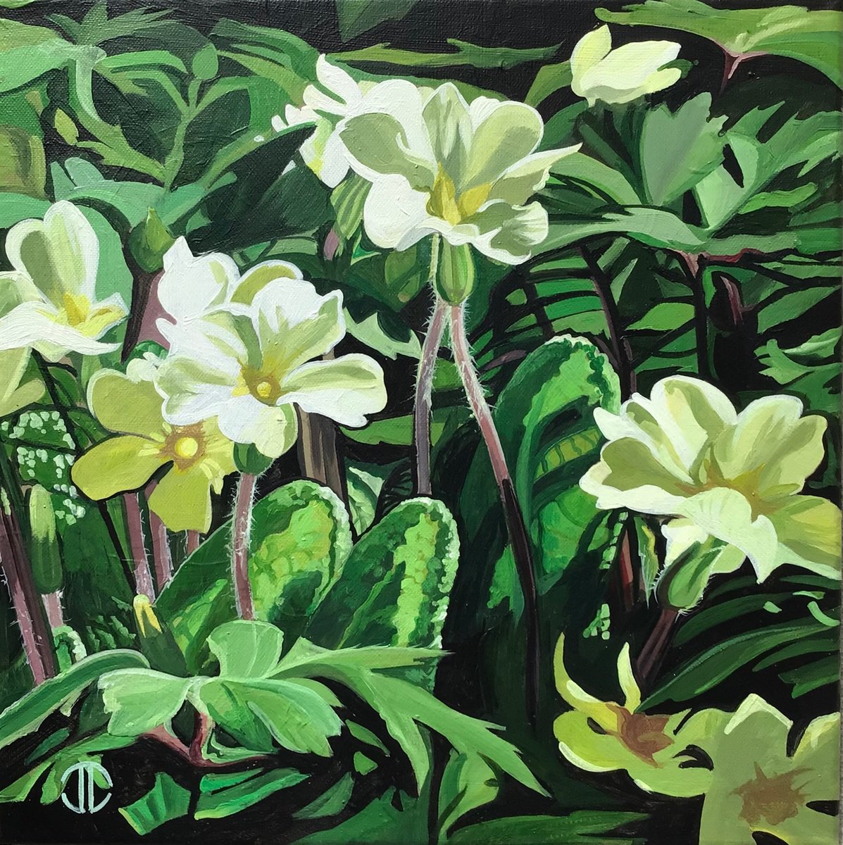 Impressionistic Botanical Acrylic Painting By Joseph Lynch, 16 X 16, Spring Primrose