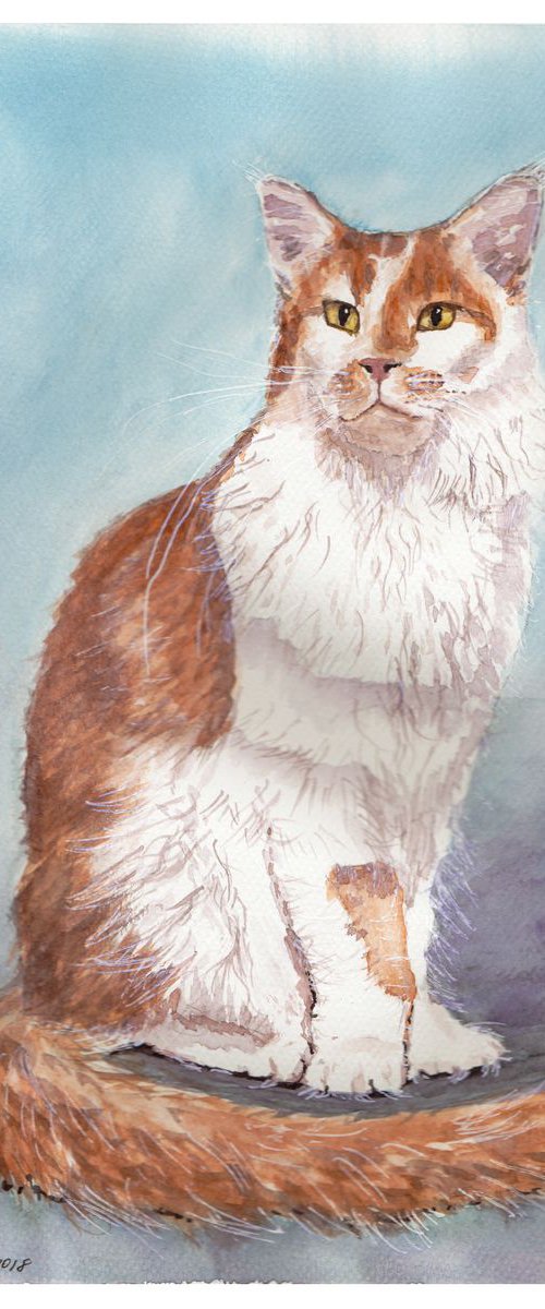 Misha the Cat by Yulia Schuster