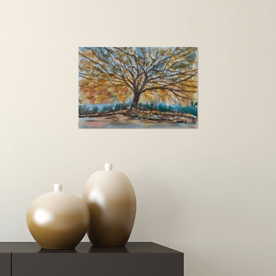 The tree by Stourhead lake