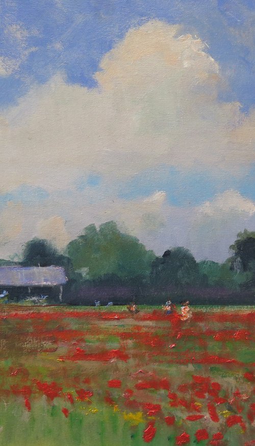 Poppy Field Near York 2 by Malcolm Ludvigsen