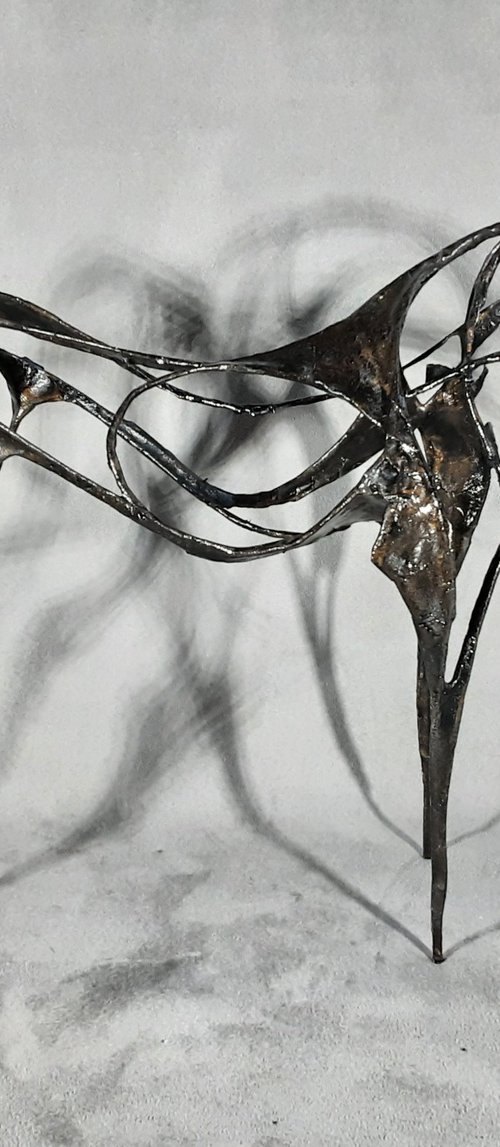 Raven by Linda Hoyle
