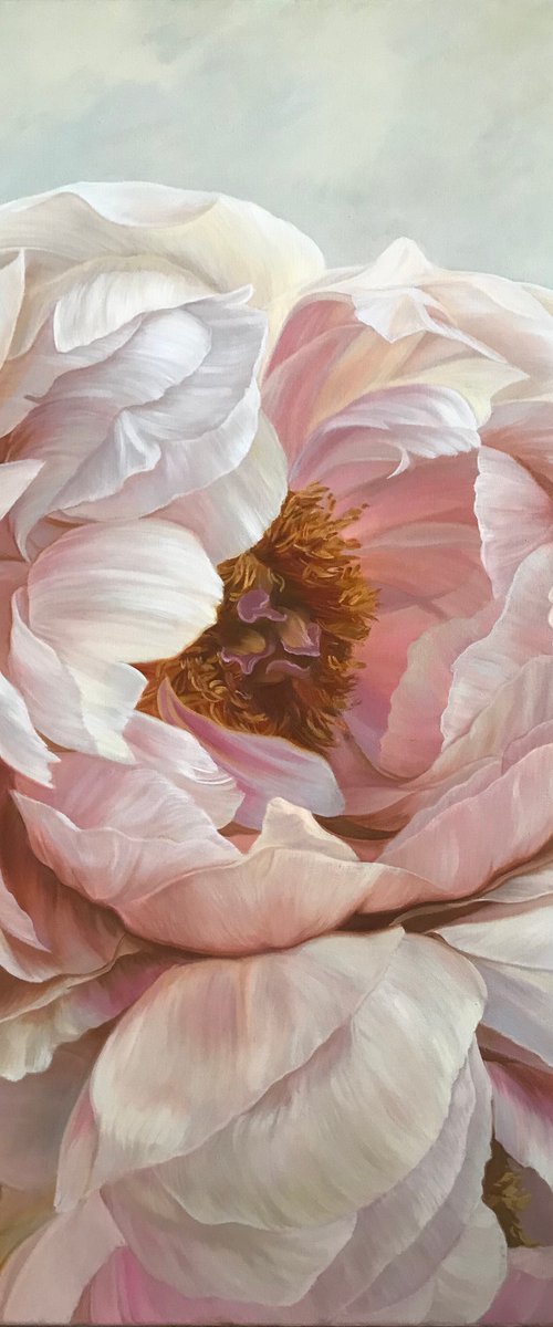 Peonies by Elena