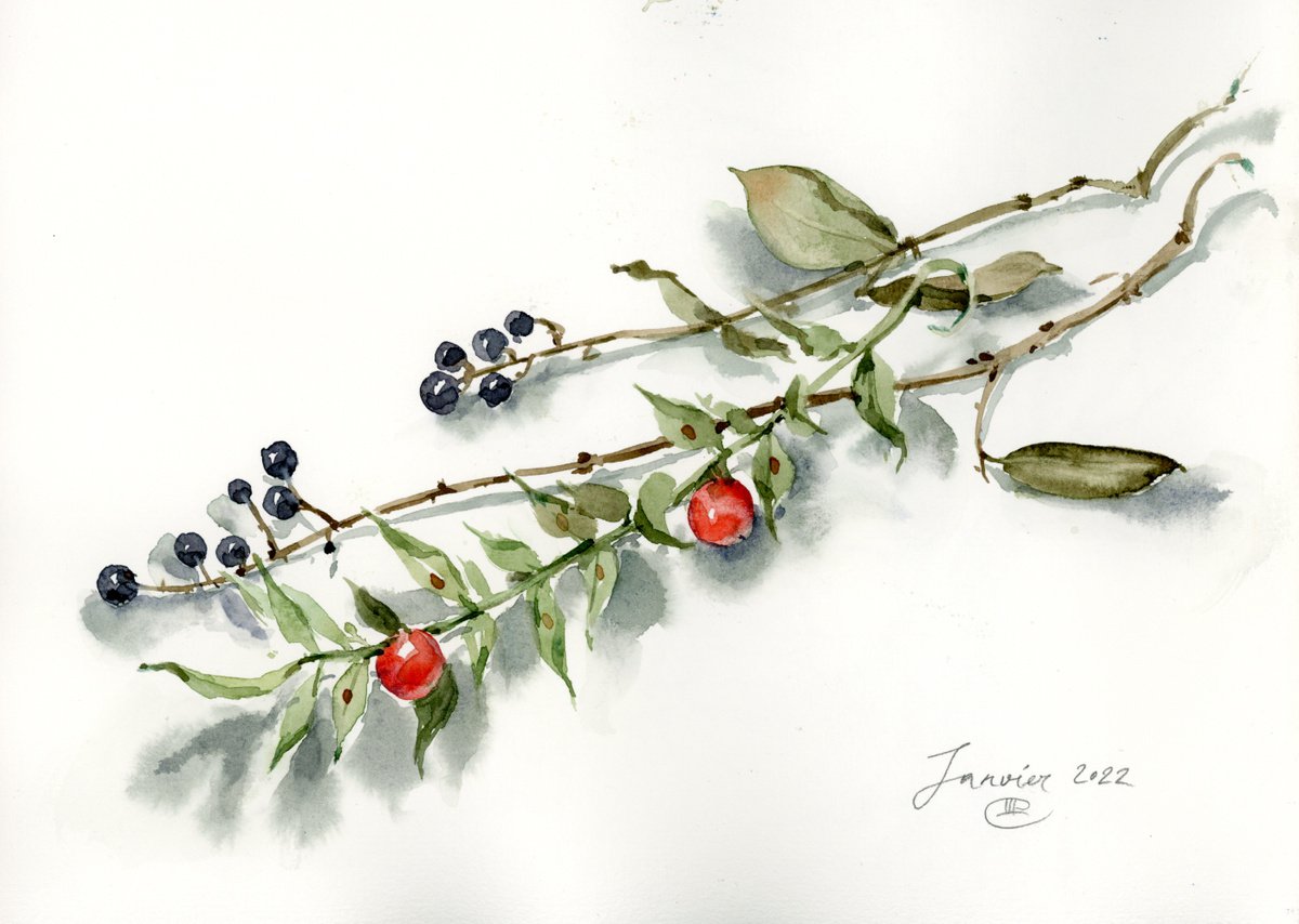 Wild plants. Watercolor sketch #1. by Tatyana Tokareva