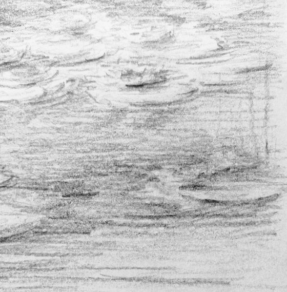 Water lilies. Sketch #1. Original pencil drawing.