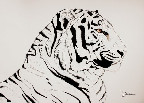 Indochinese Tiger .1 by Dominique Laurine
