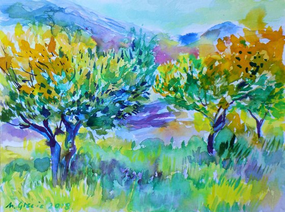 Olive grove No 4