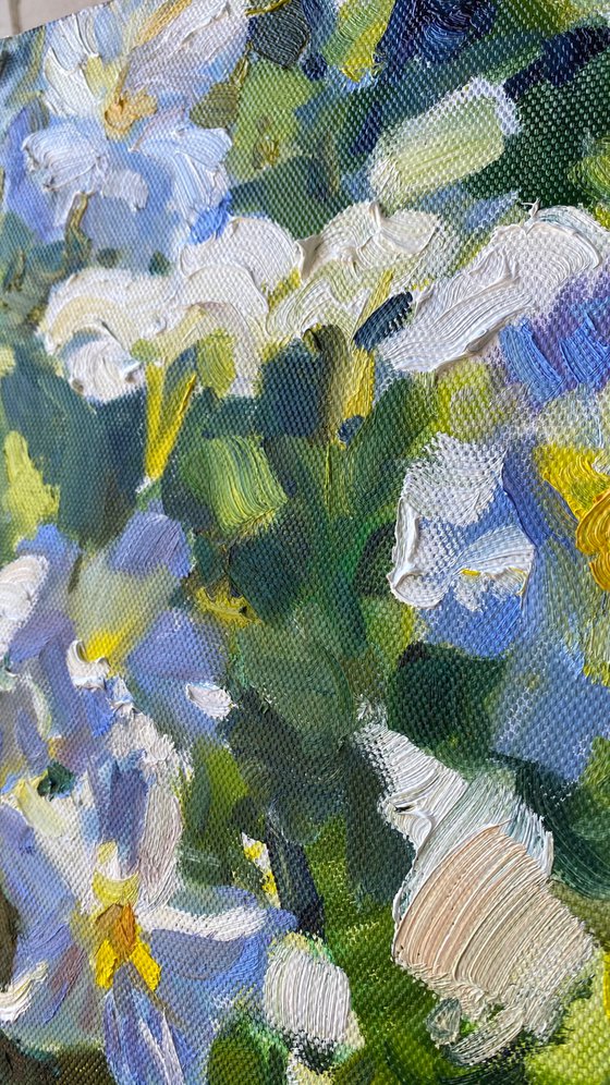Sunny petunias