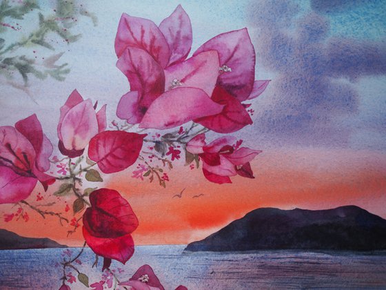 Mediterranean sunset with bougainvillea