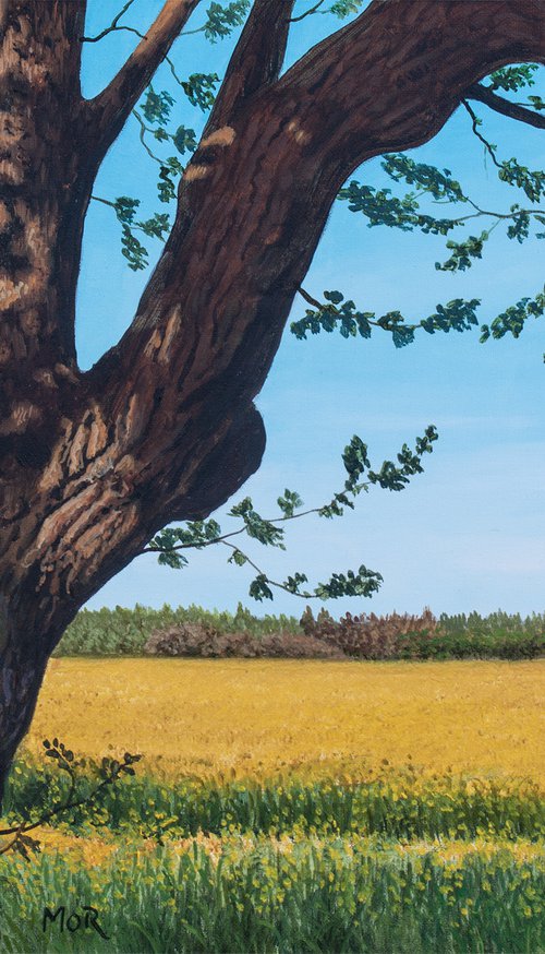 Tree And Rapefield by Dietrich Moravec