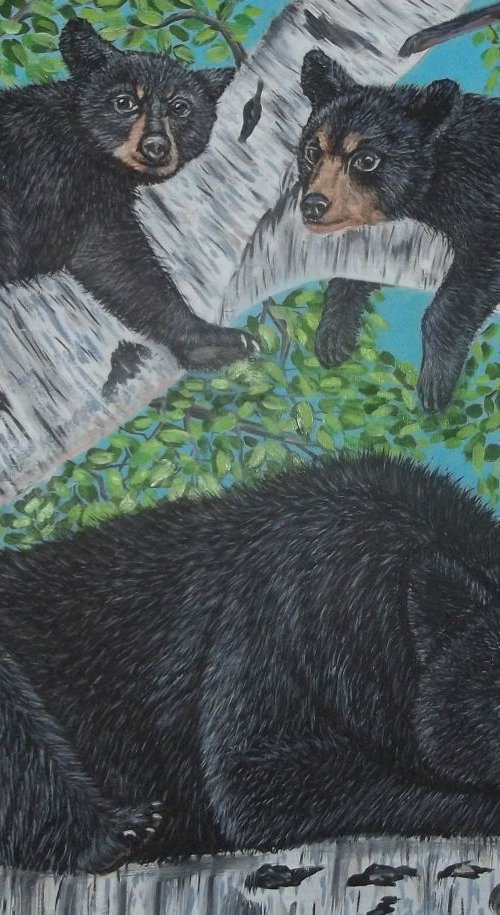 Black bears in a birch tree by Sofya Mikeworth