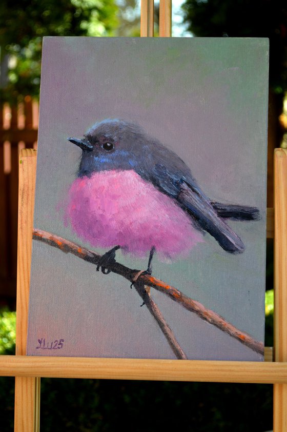 Australian Bird on a branch