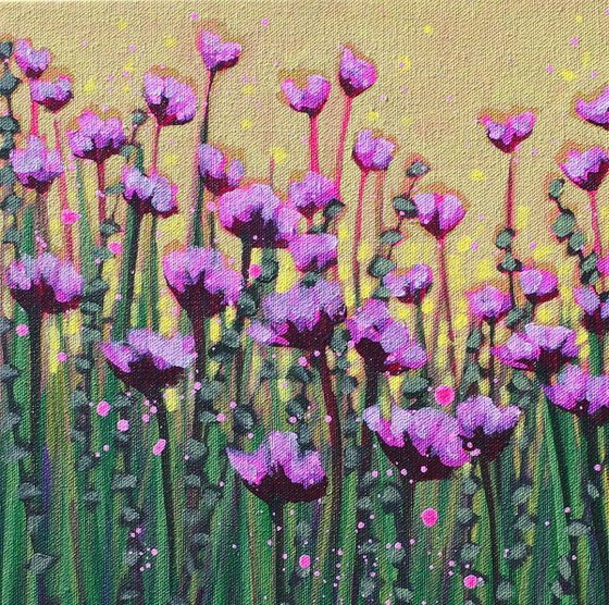 Purple Blooms in Spring Sun