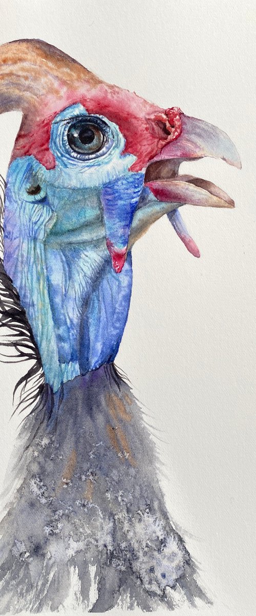 Portrait of funny Guinea bird by Tetiana Savchenko