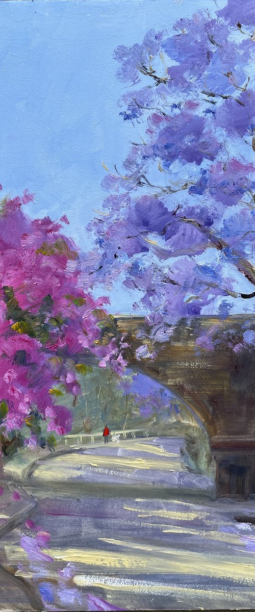 Bougainvillea and Jacaranda by Shelly Du